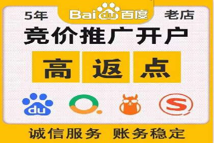 某电商平台的SEM投放全流程案例